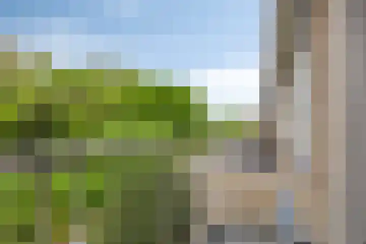 Meindert Hobbemastraat 19 Capelle aan den IJssel thumbnail 17