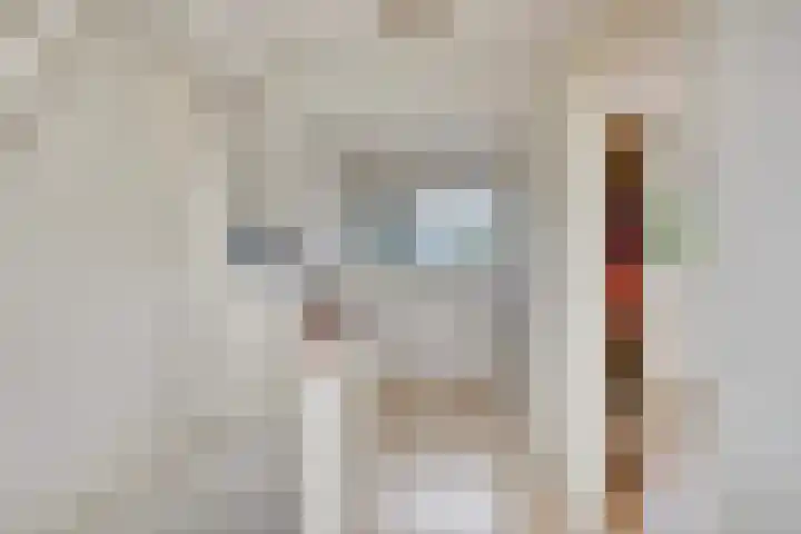 Meindert Hobbemastraat 19 Capelle aan den IJssel thumbnail 20