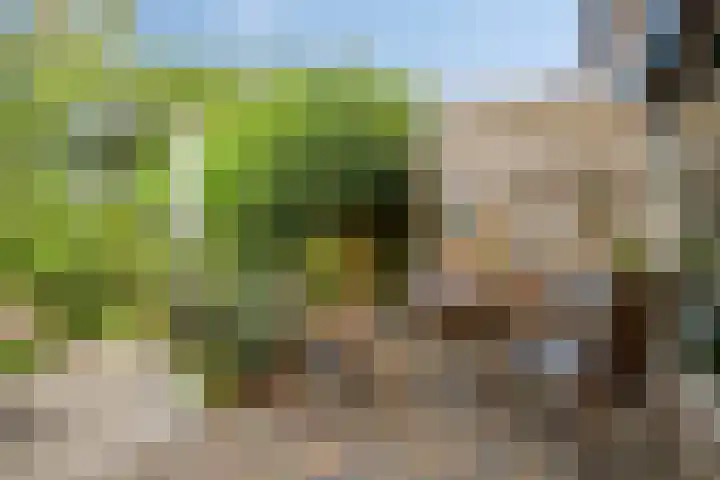 Meindert Hobbemastraat 19 Capelle aan den IJssel thumbnail 24