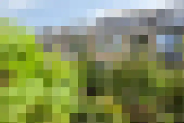 Meindert Hobbemastraat 19 Capelle aan den IJssel thumbnail 27