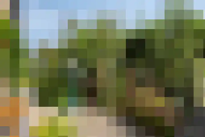 Meindert Hobbemastraat 19 Capelle aan den IJssel thumbnail 29