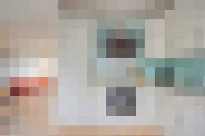 Meindert Hobbemastraat 19 Capelle aan den IJssel thumbnail 9