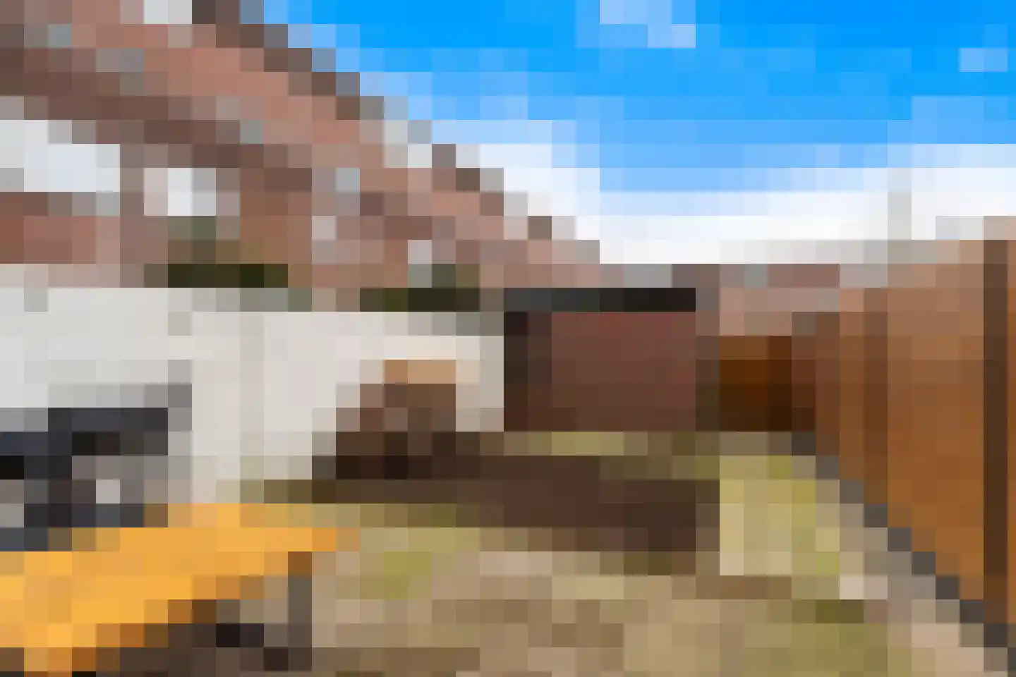 Meindert Hobbemastraat 21 Dordrecht thumbnail 32