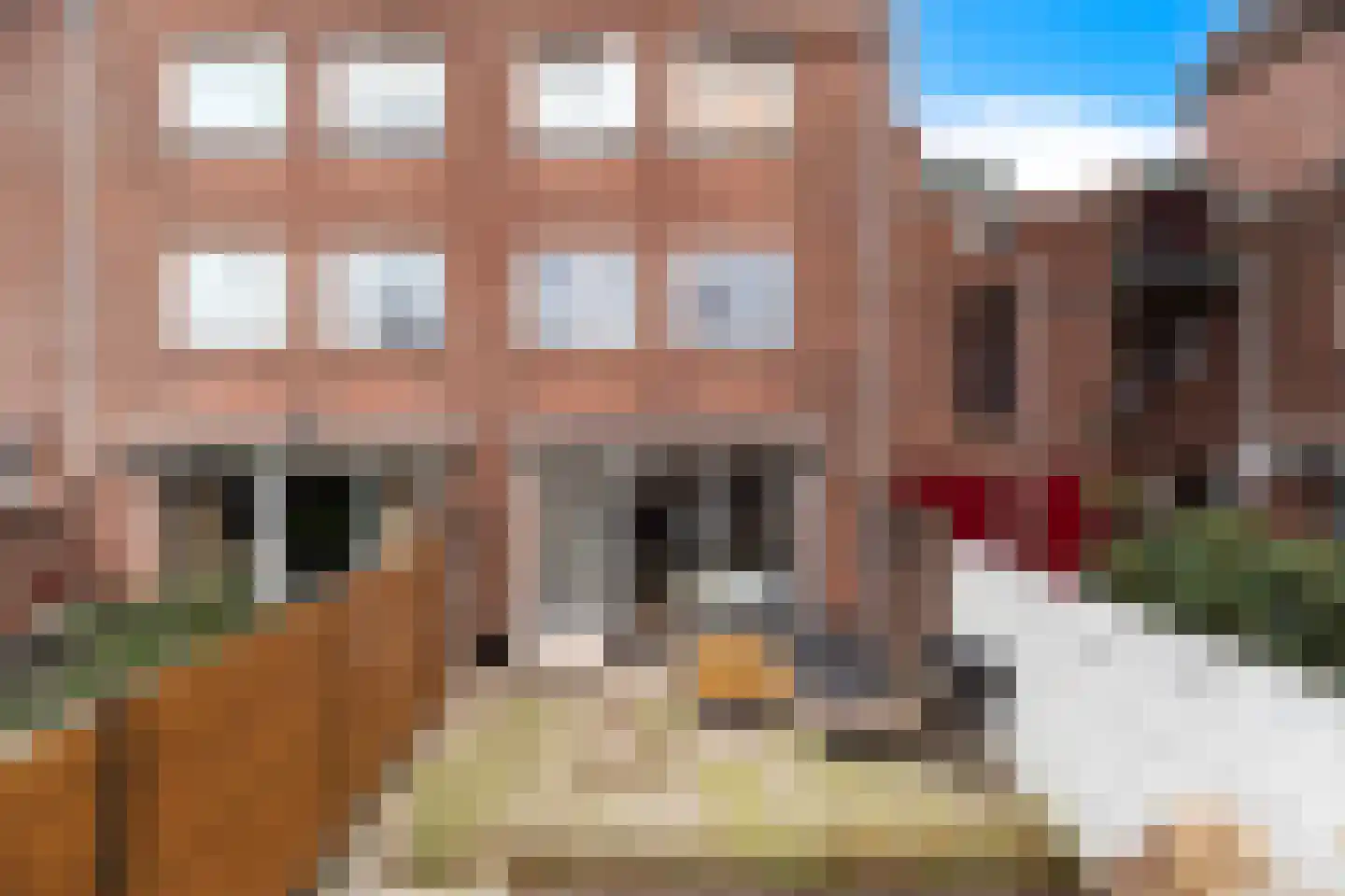 Meindert Hobbemastraat 21 Dordrecht thumbnail 37