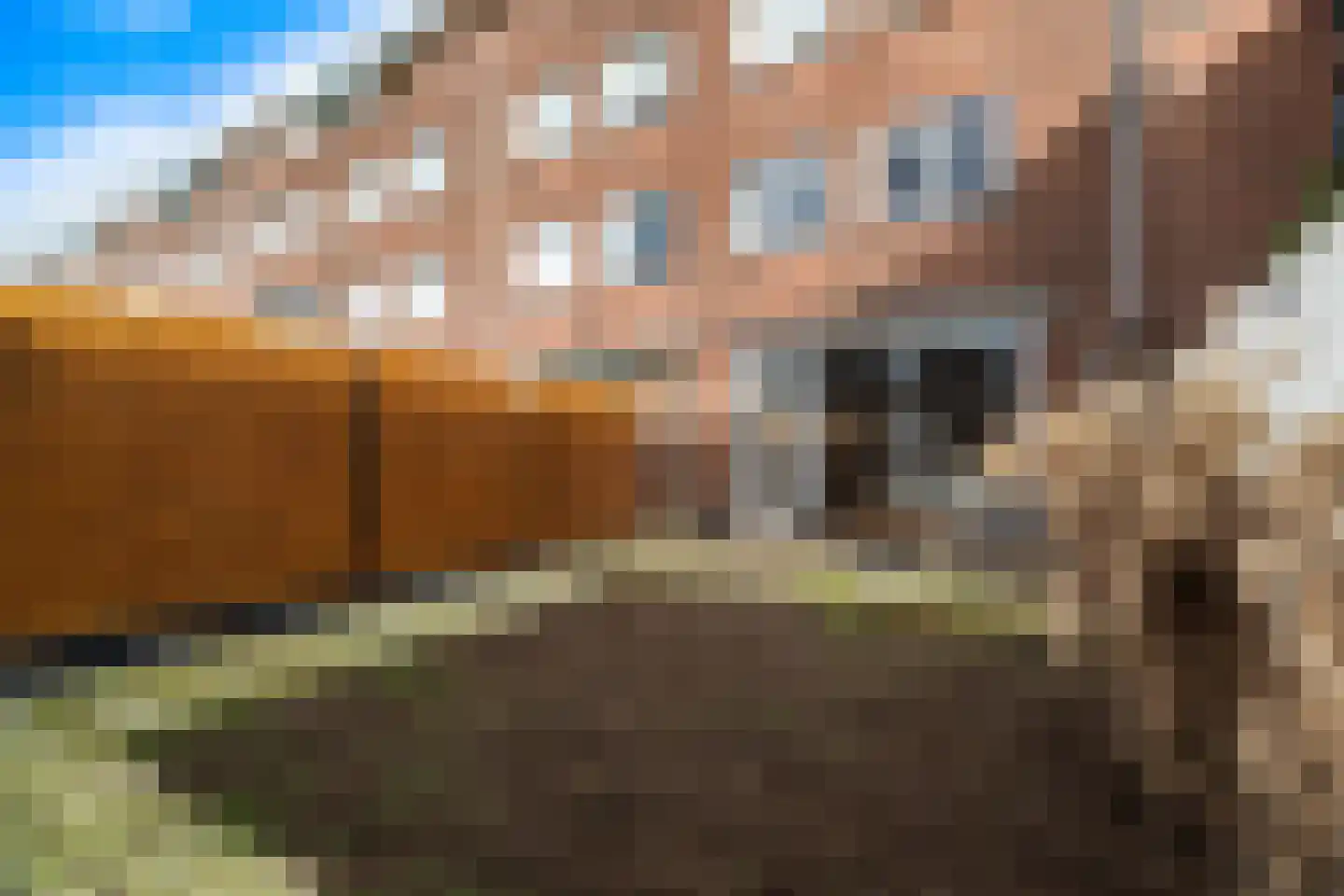 Meindert Hobbemastraat 21 Dordrecht thumbnail 39
