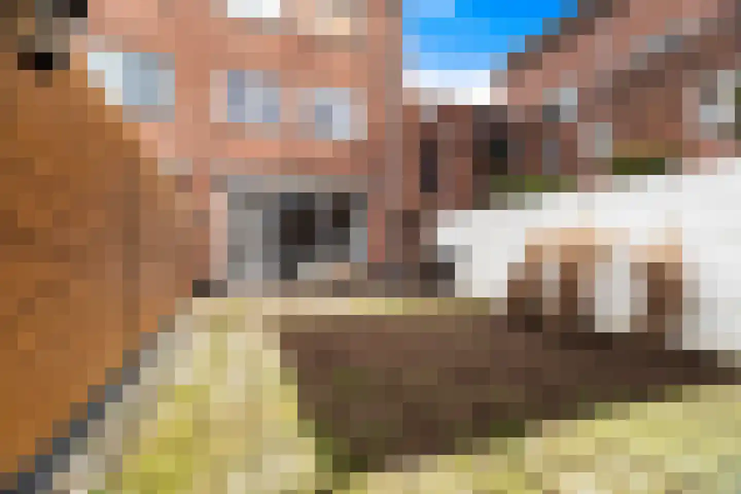 Meindert Hobbemastraat 21 Dordrecht thumbnail 40