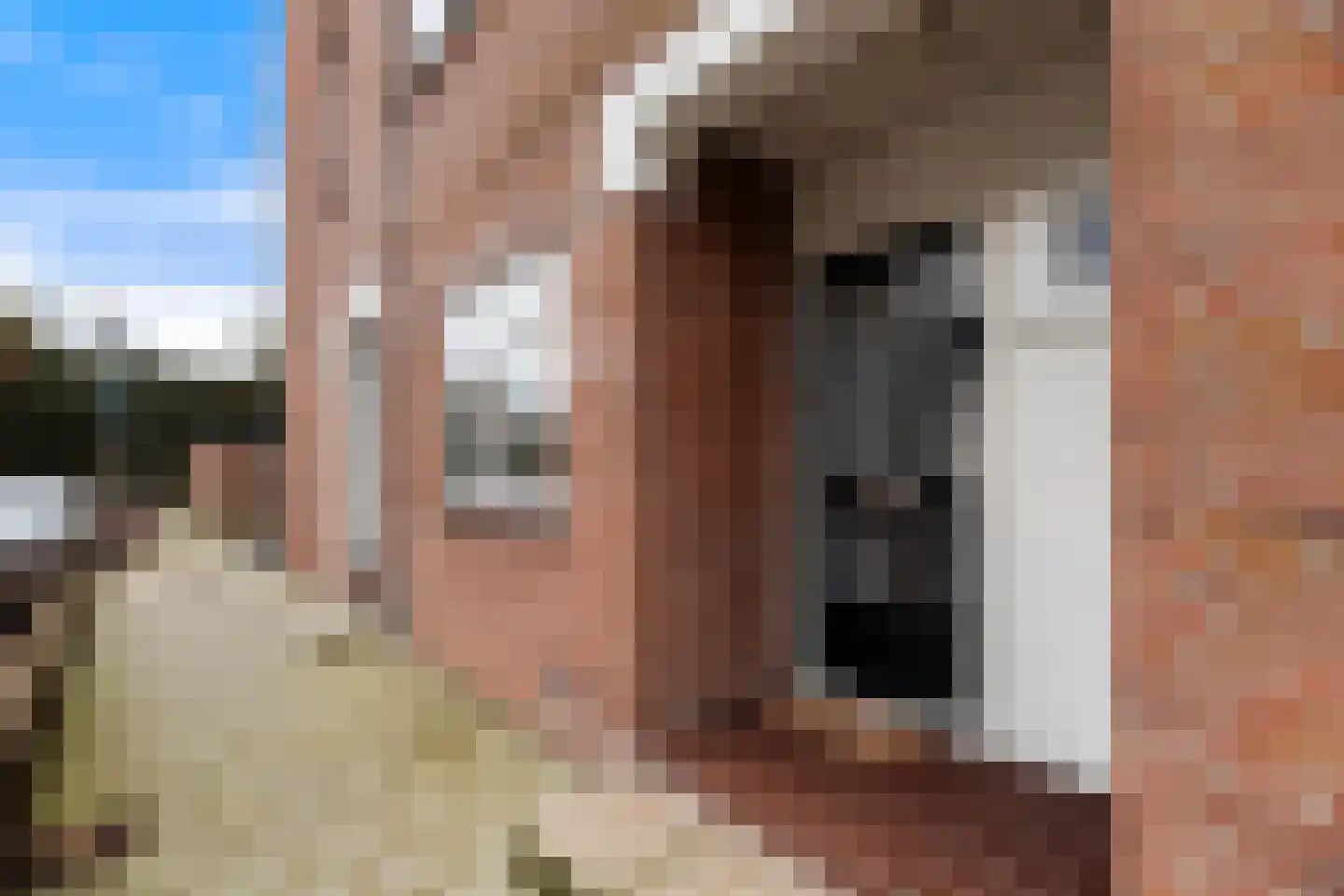 Meindert Hobbemastraat 21 Dordrecht thumbnail 5