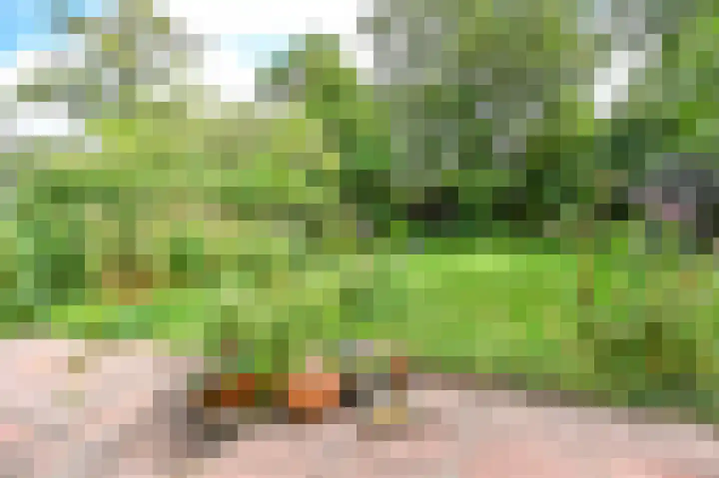 Meindert Hobbemastraat 22 Heemstede thumbnail 41