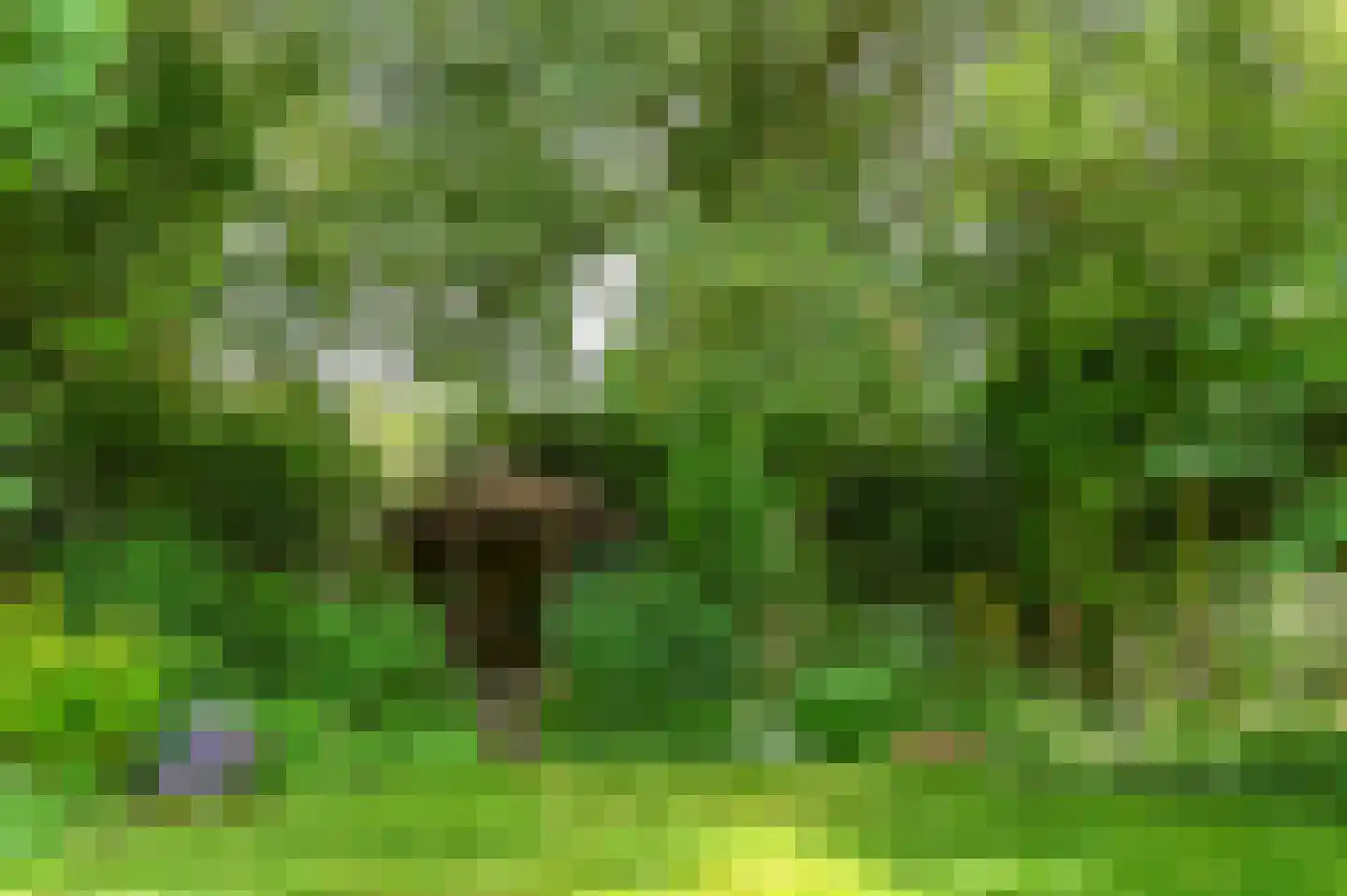 Meindert Hobbemastraat 22 Heemstede thumbnail 42