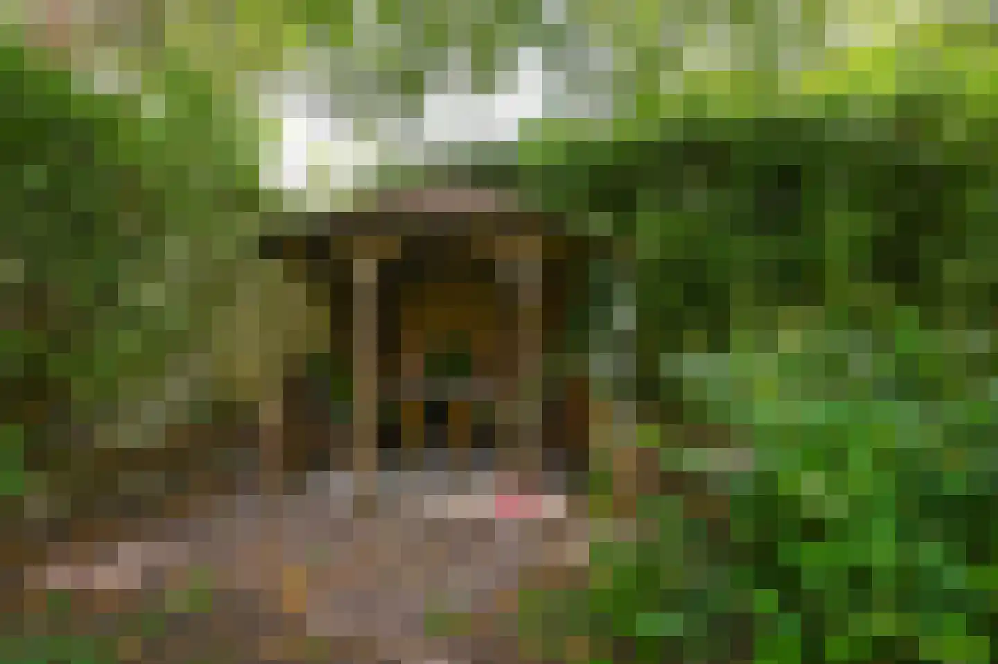 Meindert Hobbemastraat 22 Heemstede thumbnail 43