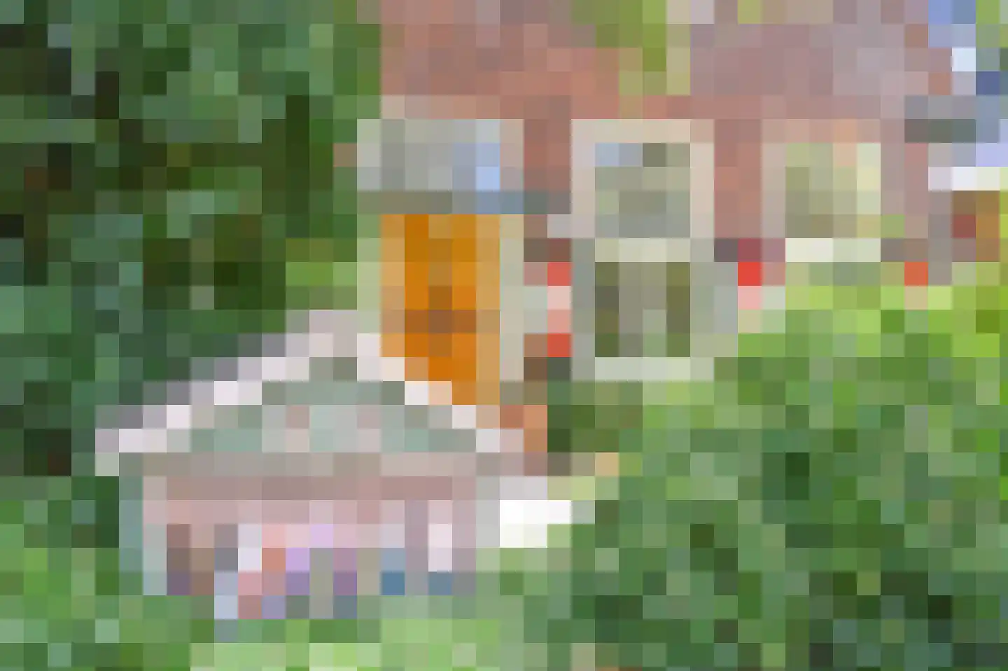 Meindert Hobbemastraat 22 Heemstede thumbnail 51