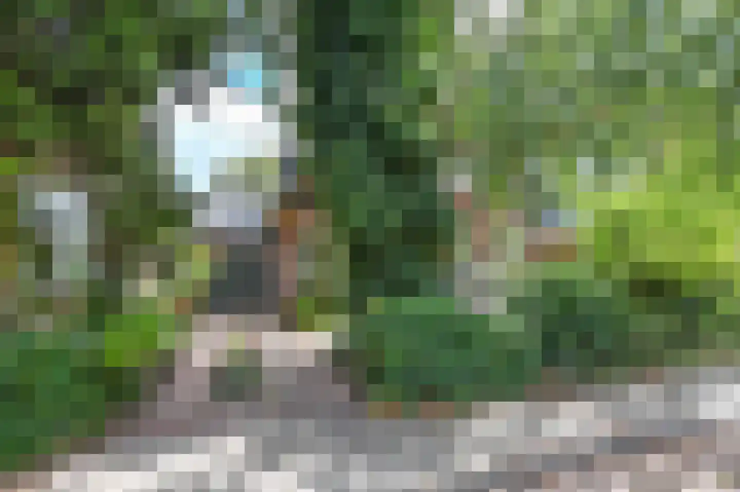 Meindert Hobbemastraat 22 Heemstede thumbnail 52