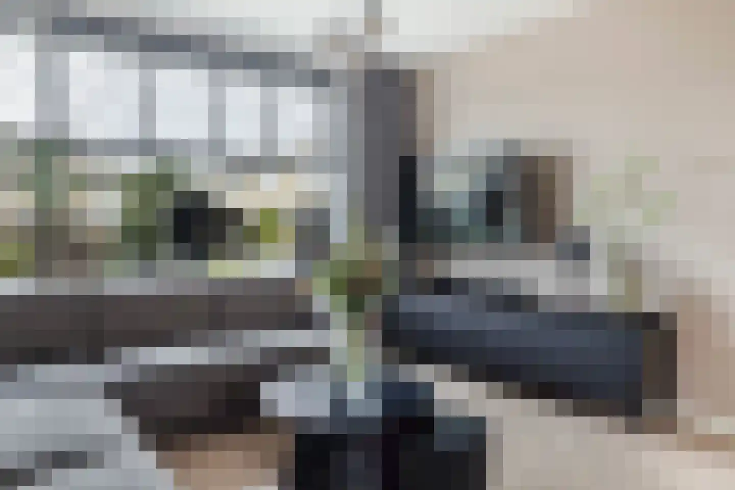 Meindert Hobbemastraat 26 Papendrecht thumbnail 11