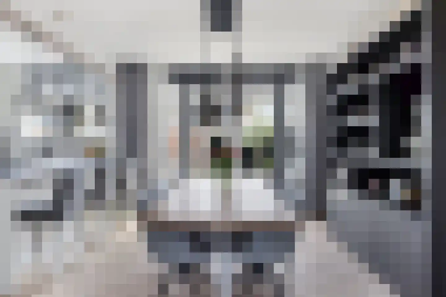 Meindert Hobbemastraat 26 Papendrecht thumbnail 13