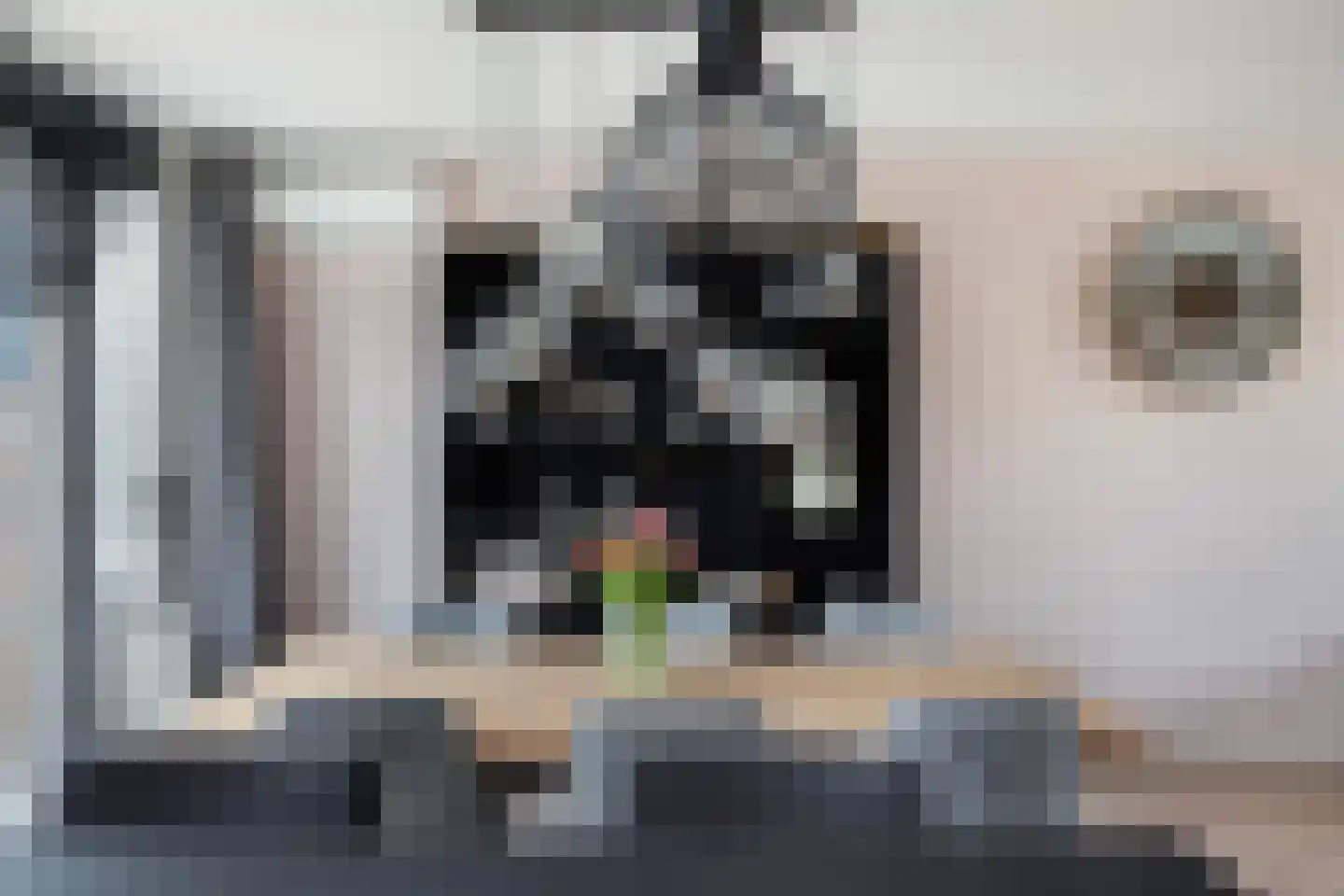 Meindert Hobbemastraat 26 Papendrecht thumbnail 14