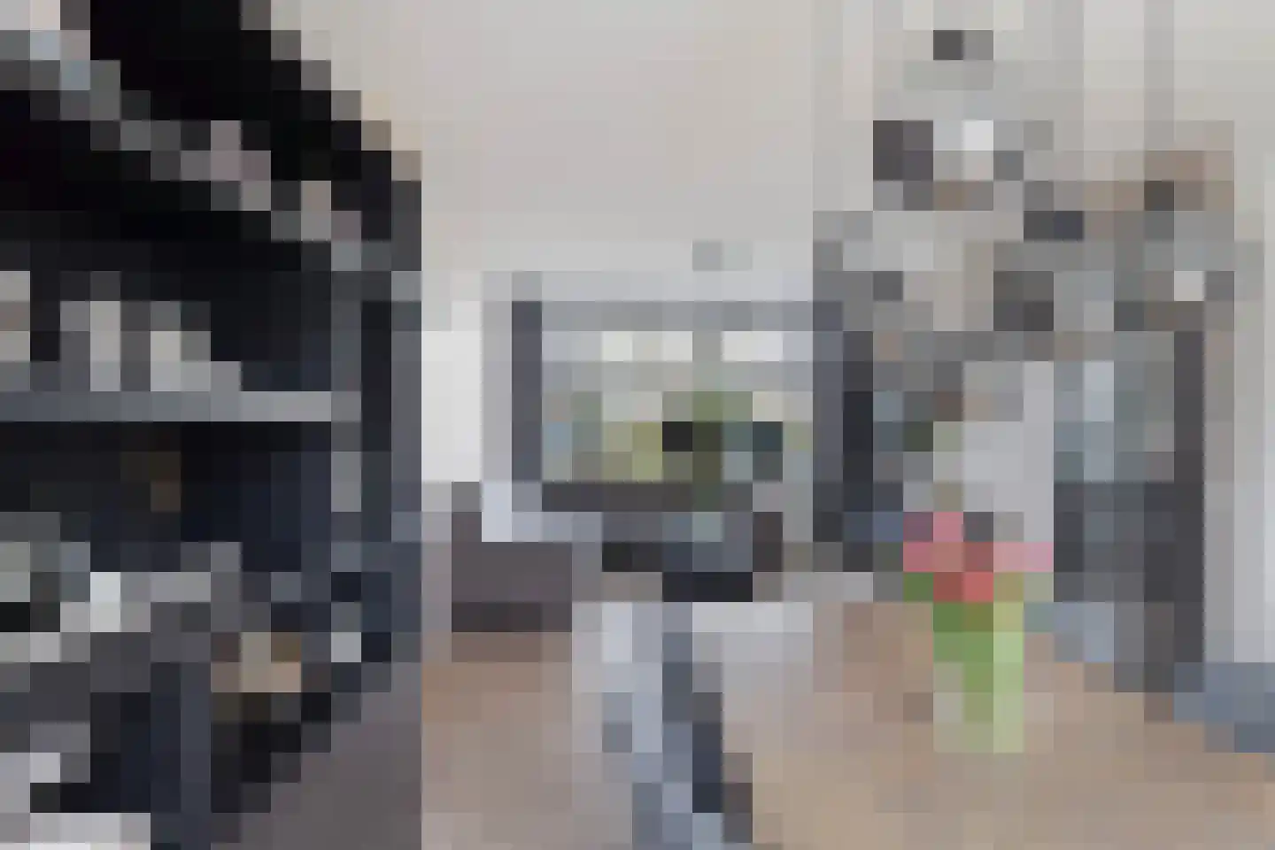 Meindert Hobbemastraat 26 Papendrecht thumbnail 15