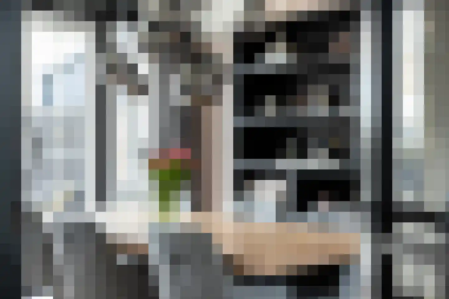 Meindert Hobbemastraat 26 Papendrecht thumbnail 16
