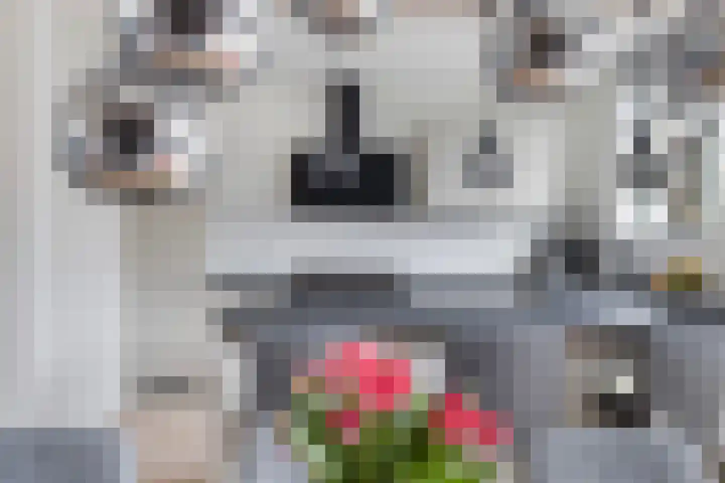 Meindert Hobbemastraat 26 Papendrecht thumbnail 18