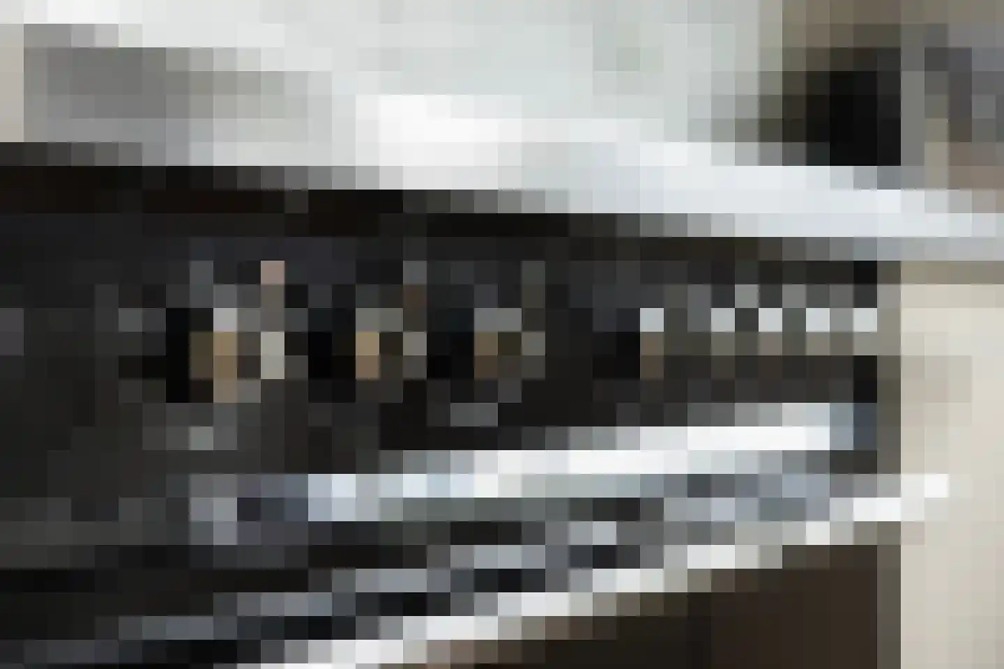 Meindert Hobbemastraat 26 Papendrecht thumbnail 20