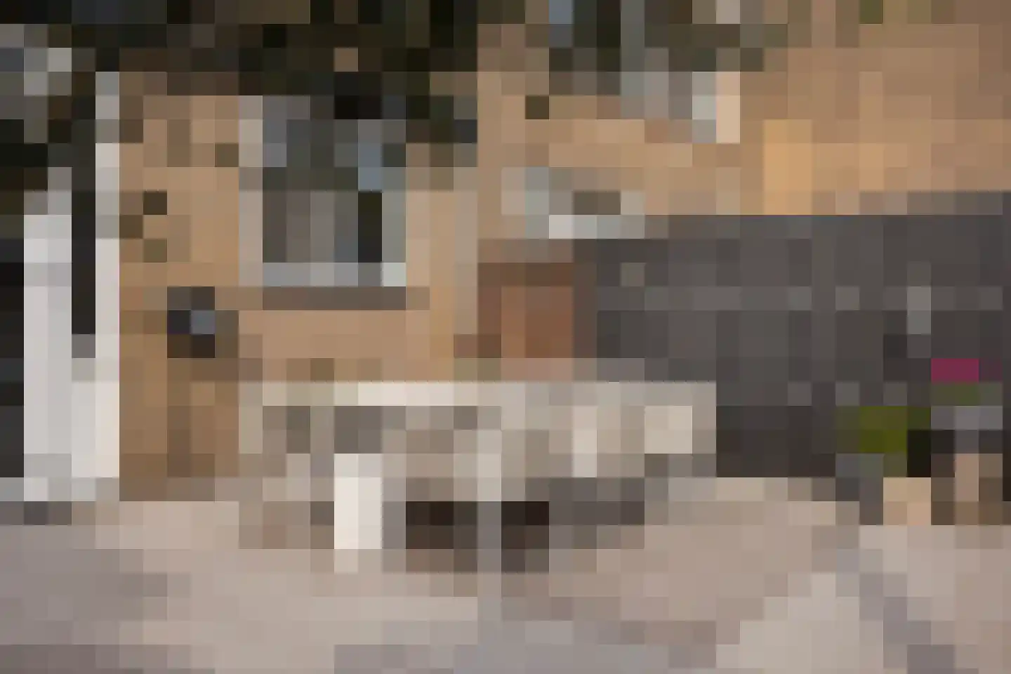 Meindert Hobbemastraat 26 Papendrecht thumbnail 23