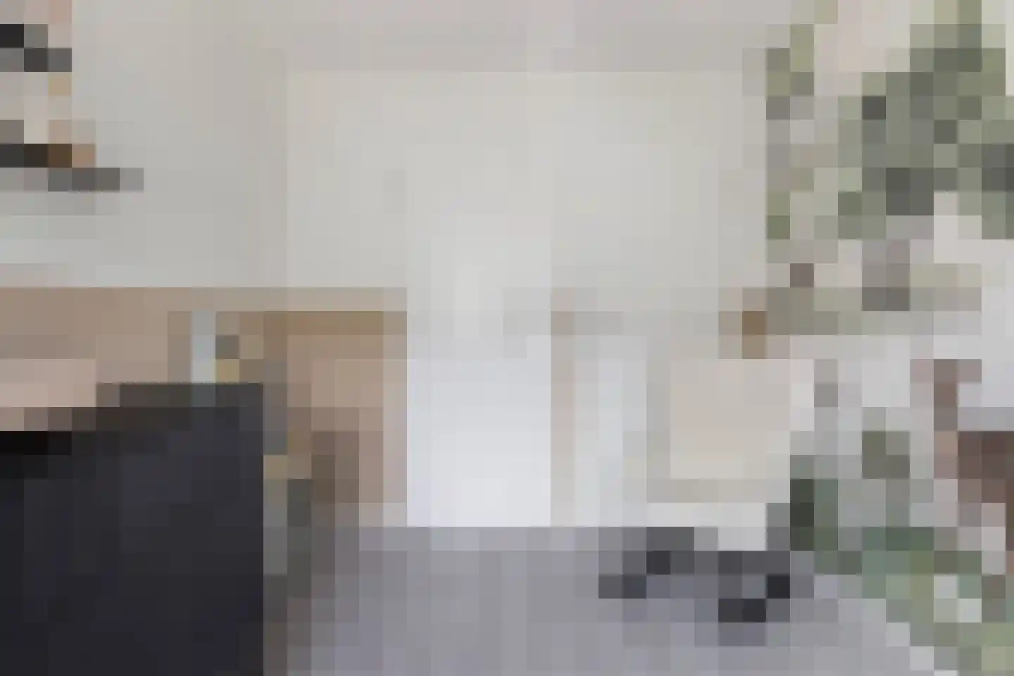 Meindert Hobbemastraat 26 Papendrecht thumbnail 27