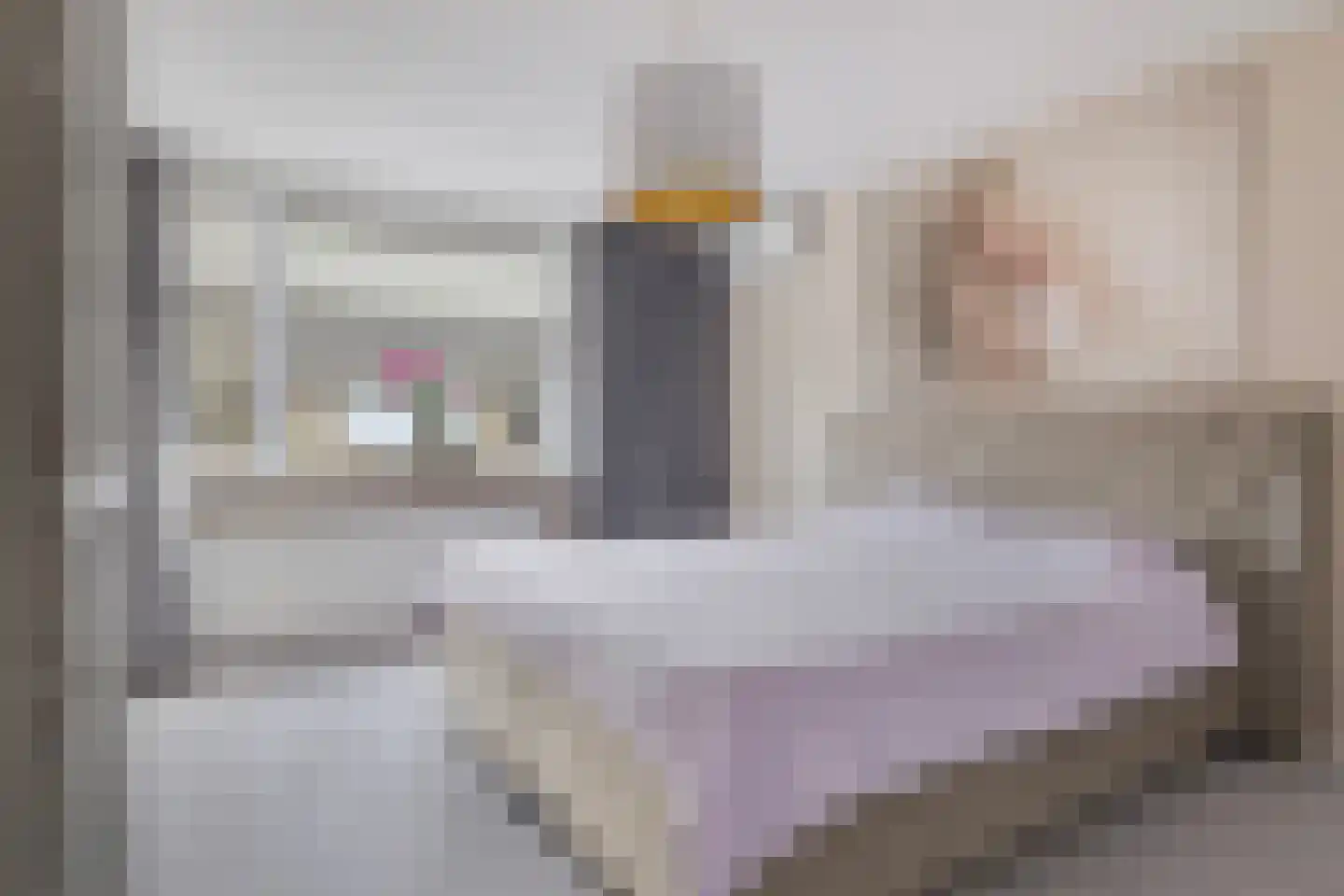 Meindert Hobbemastraat 26 Papendrecht thumbnail 29