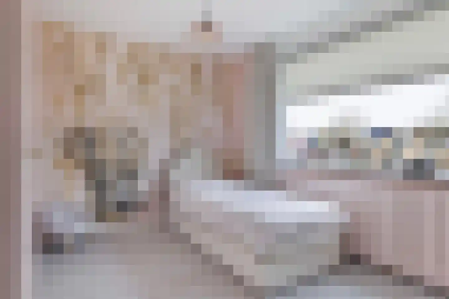 Meindert Hobbemastraat 26 Papendrecht thumbnail 30