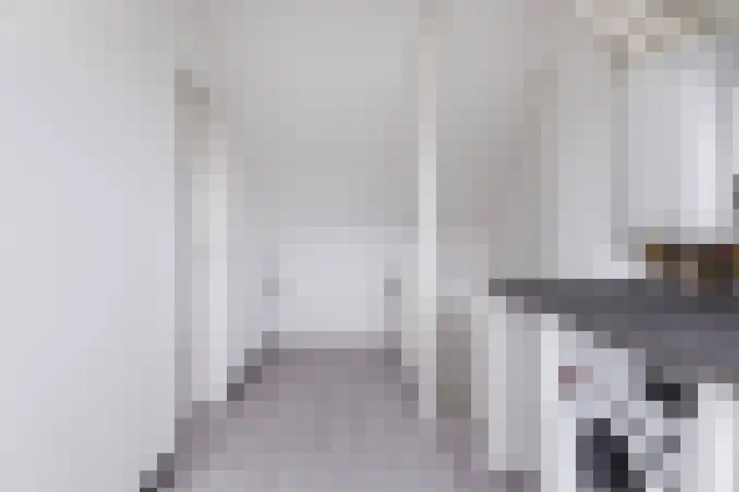 Meindert Hobbemastraat 26 Papendrecht thumbnail 33