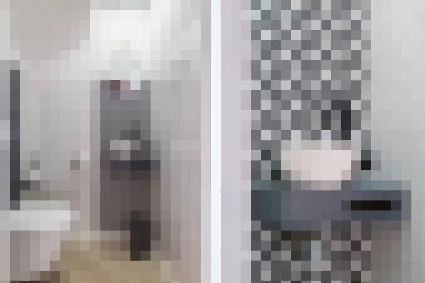 Meindert Hobbemastraat 26 Papendrecht thumbnail 9