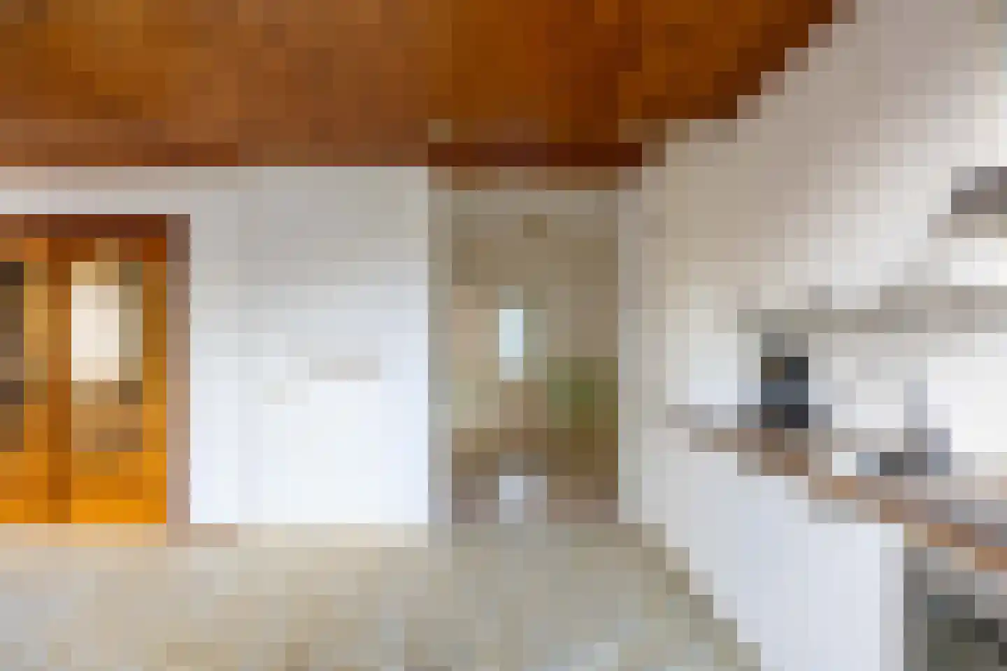 Meindert Hobbemastraat 27 Bergen L thumbnail 18