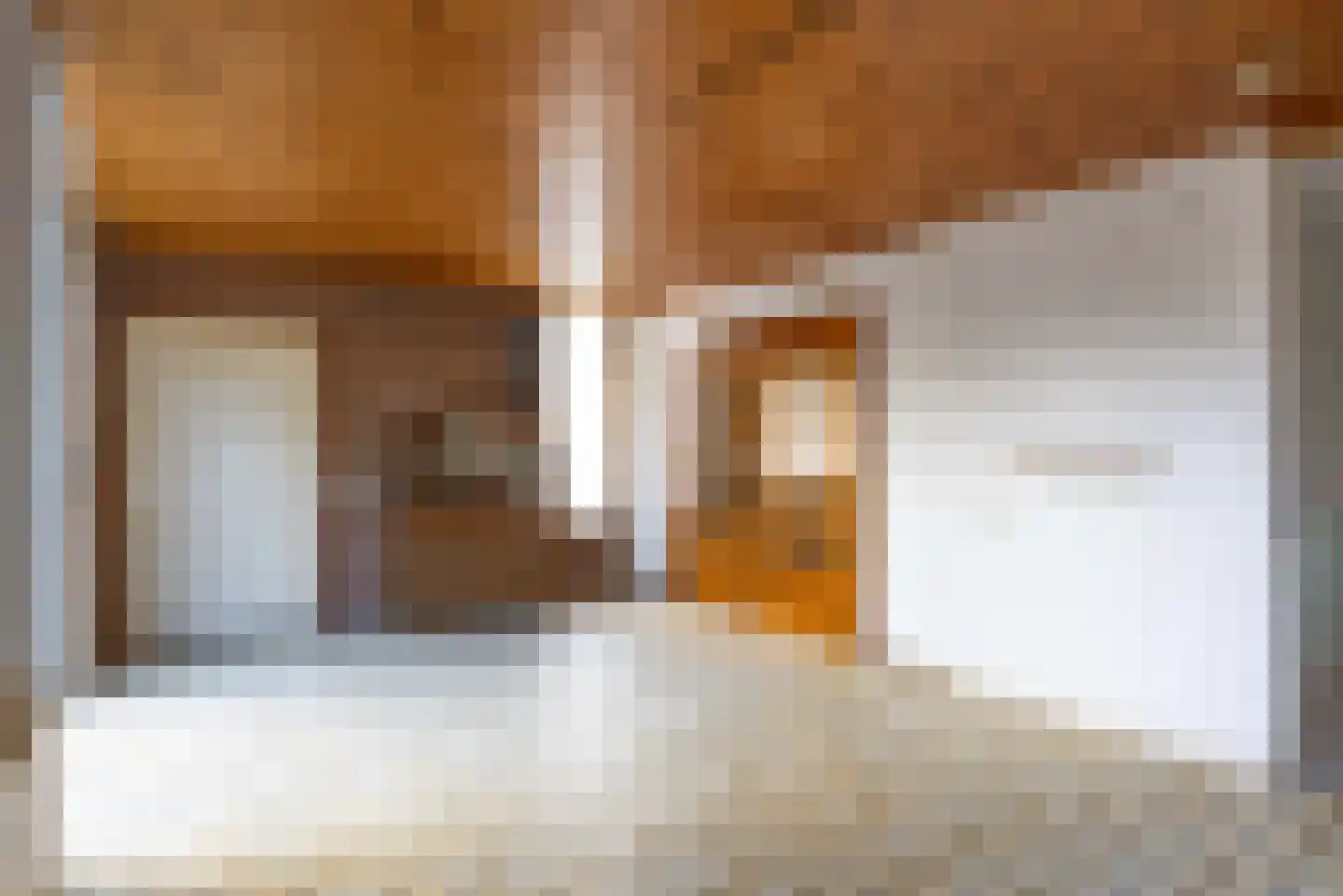 Meindert Hobbemastraat 27 Bergen L thumbnail 19