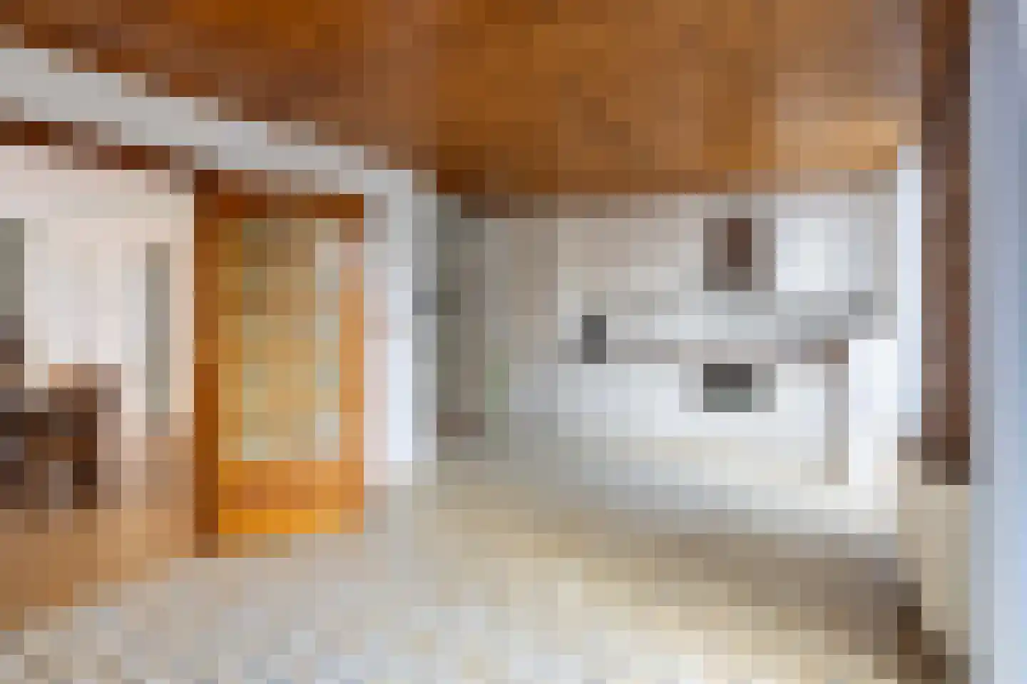 Meindert Hobbemastraat 27 Bergen L thumbnail 20
