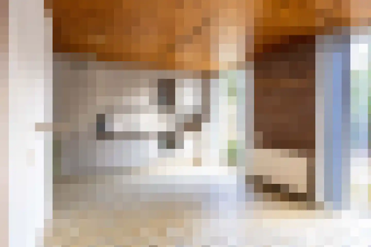 Meindert Hobbemastraat 27 Bergen L thumbnail 21