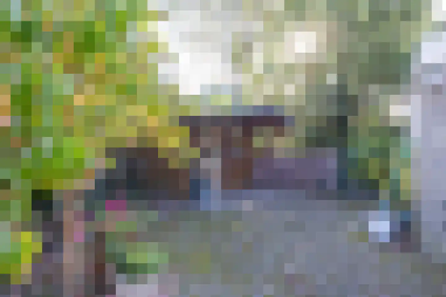 Meindert Hobbemastraat 27 Bergen L thumbnail 43