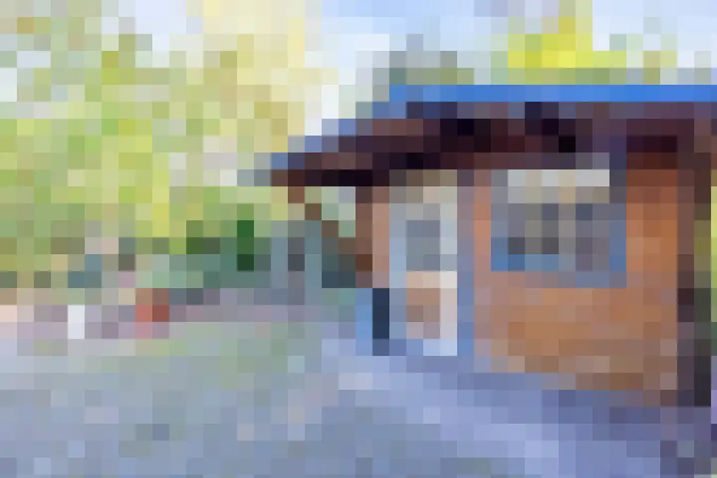 Meindert Hobbemastraat 27 Bergen L thumbnail 44