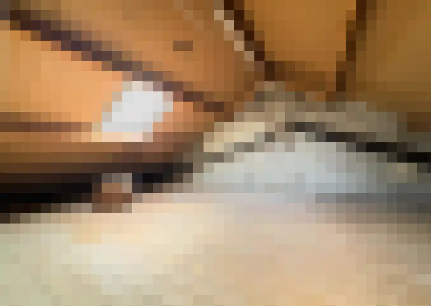 Meindert Hobbemastraat 27 Bergen L thumbnail 7