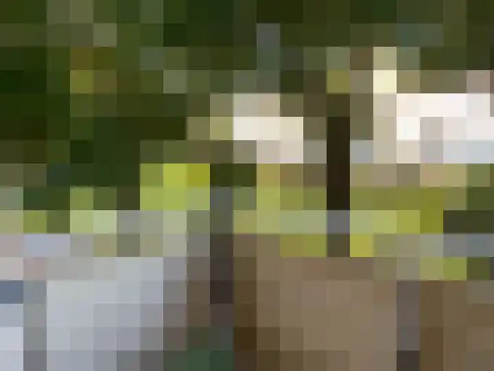 Meindert Hobbemastraat 30 Almelo thumbnail 8