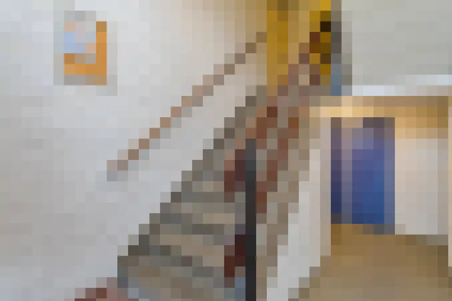 Meindert Hobbemastraat 32 Almelo thumbnail 19
