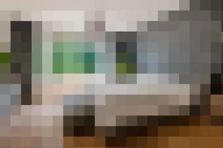 Meindert Hobbemastraat 33 Heemstede thumbnail 33