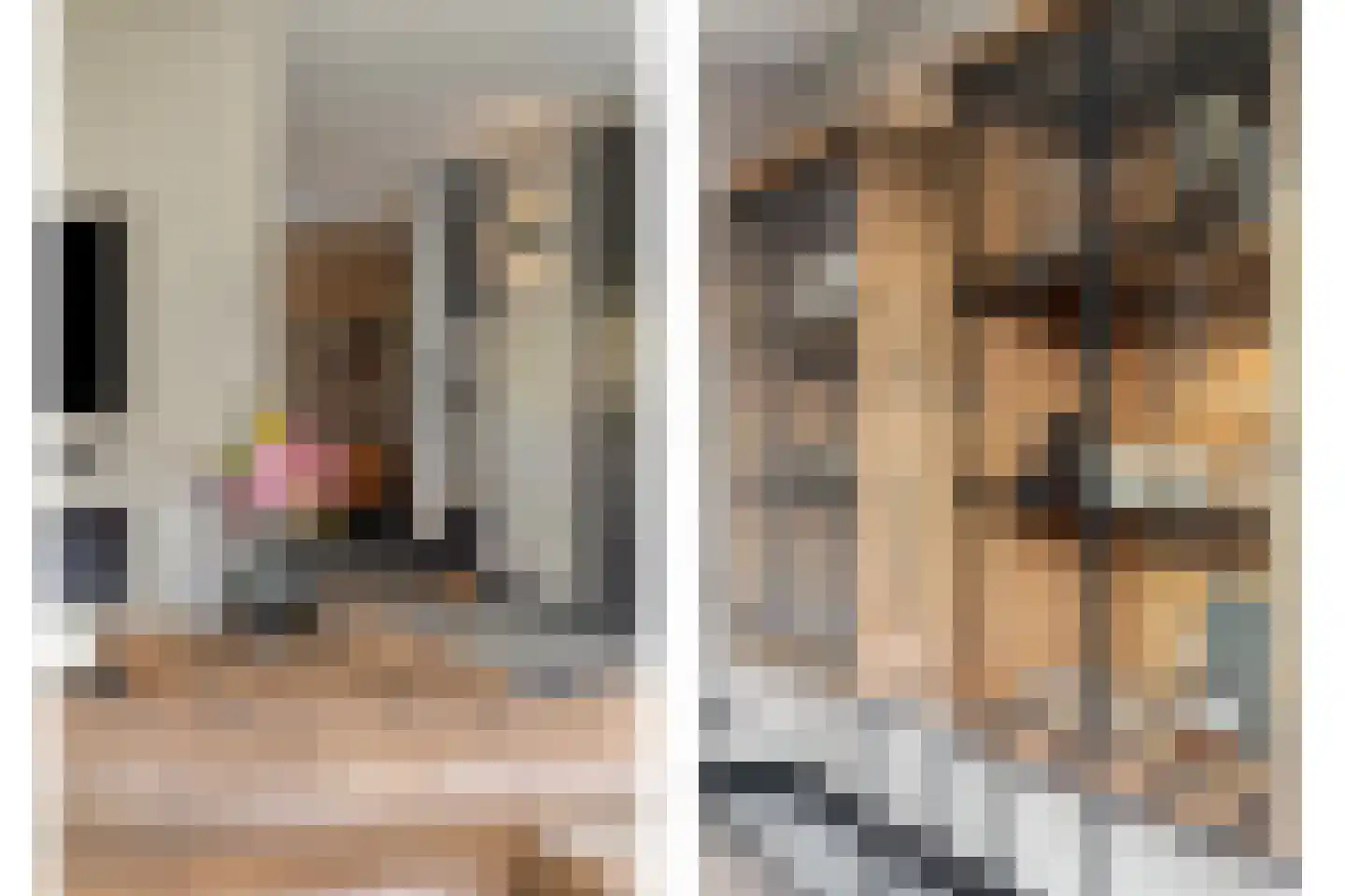Meindert Hobbemastraat 4 Kesteren thumbnail 10