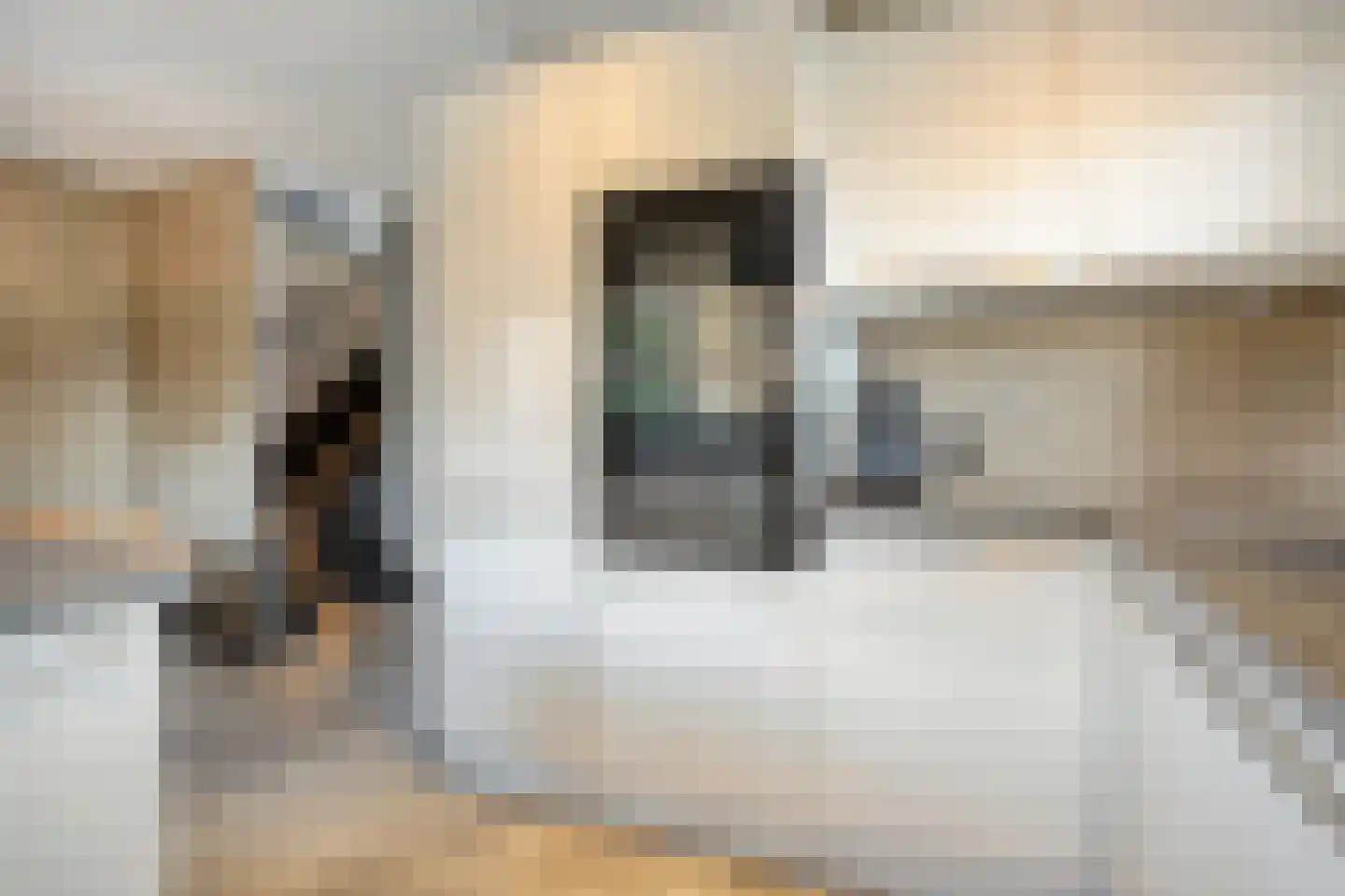 Meindert Hobbemastraat 4 Kesteren thumbnail 12