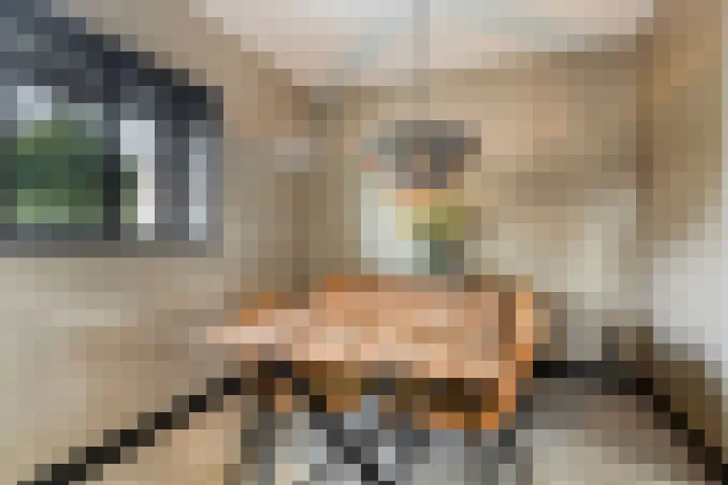 Meindert Hobbemastraat 4 Kesteren thumbnail 13