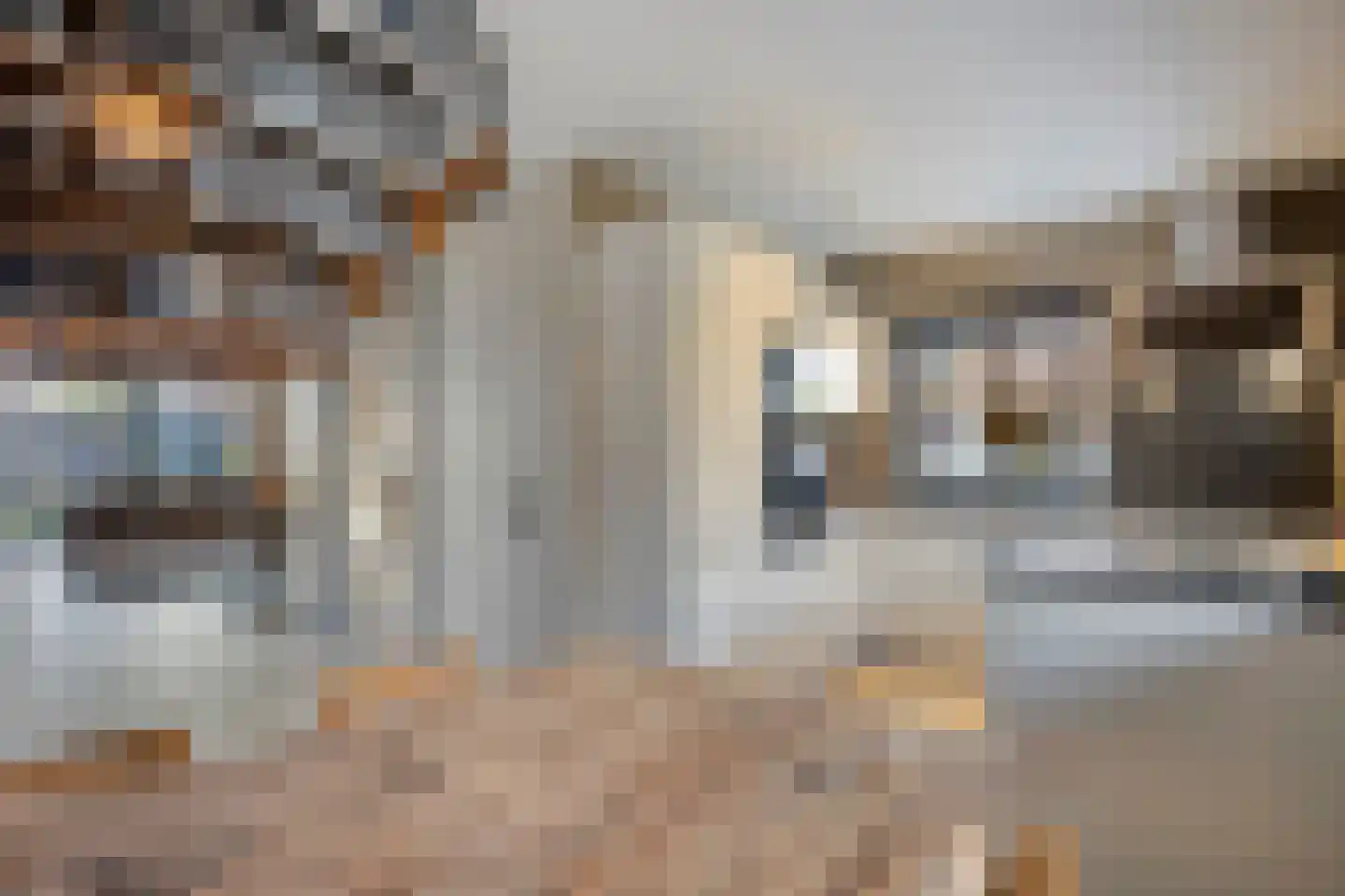Meindert Hobbemastraat 4 Kesteren thumbnail 14