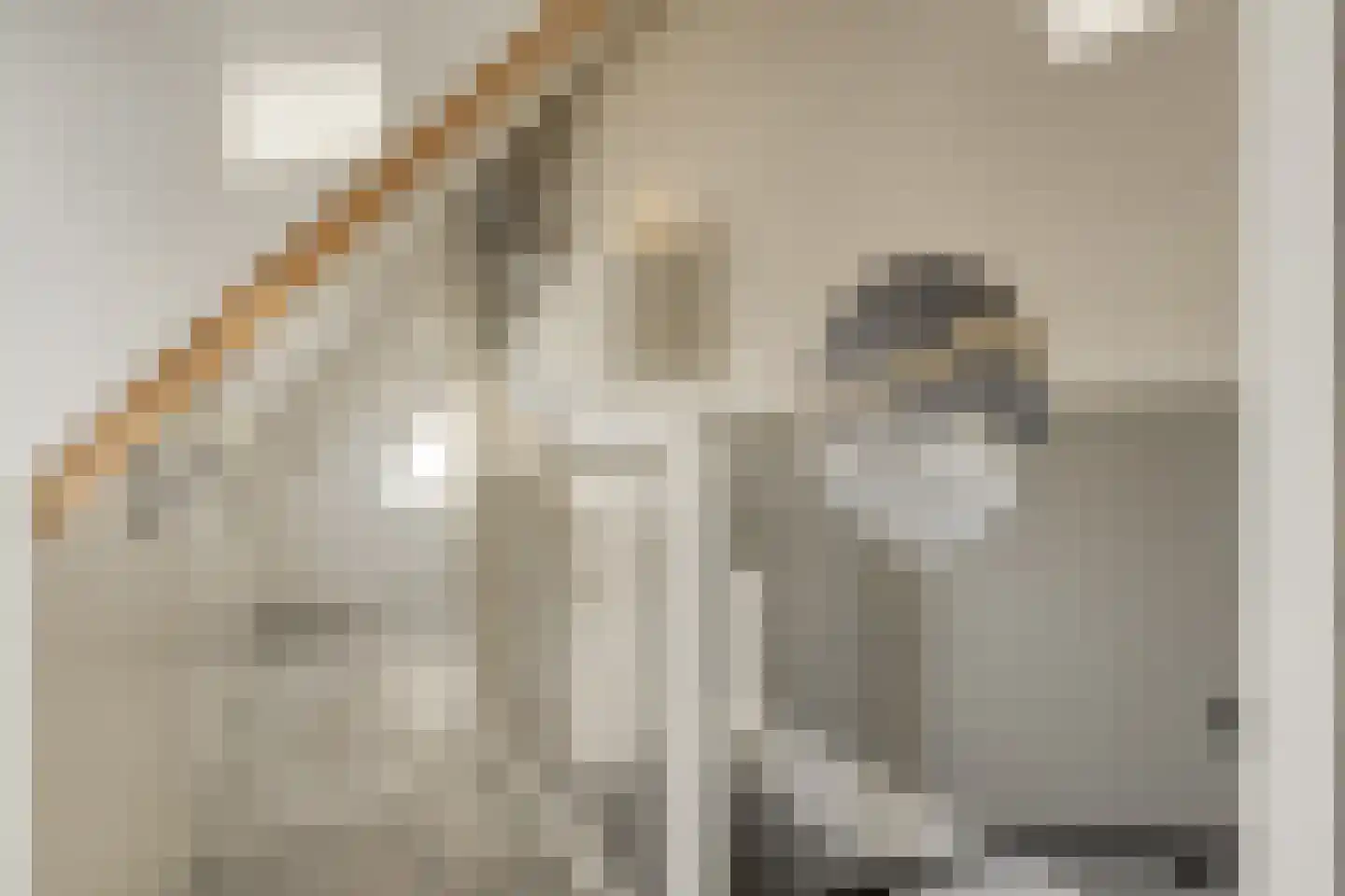 Meindert Hobbemastraat 4 Kesteren thumbnail 28