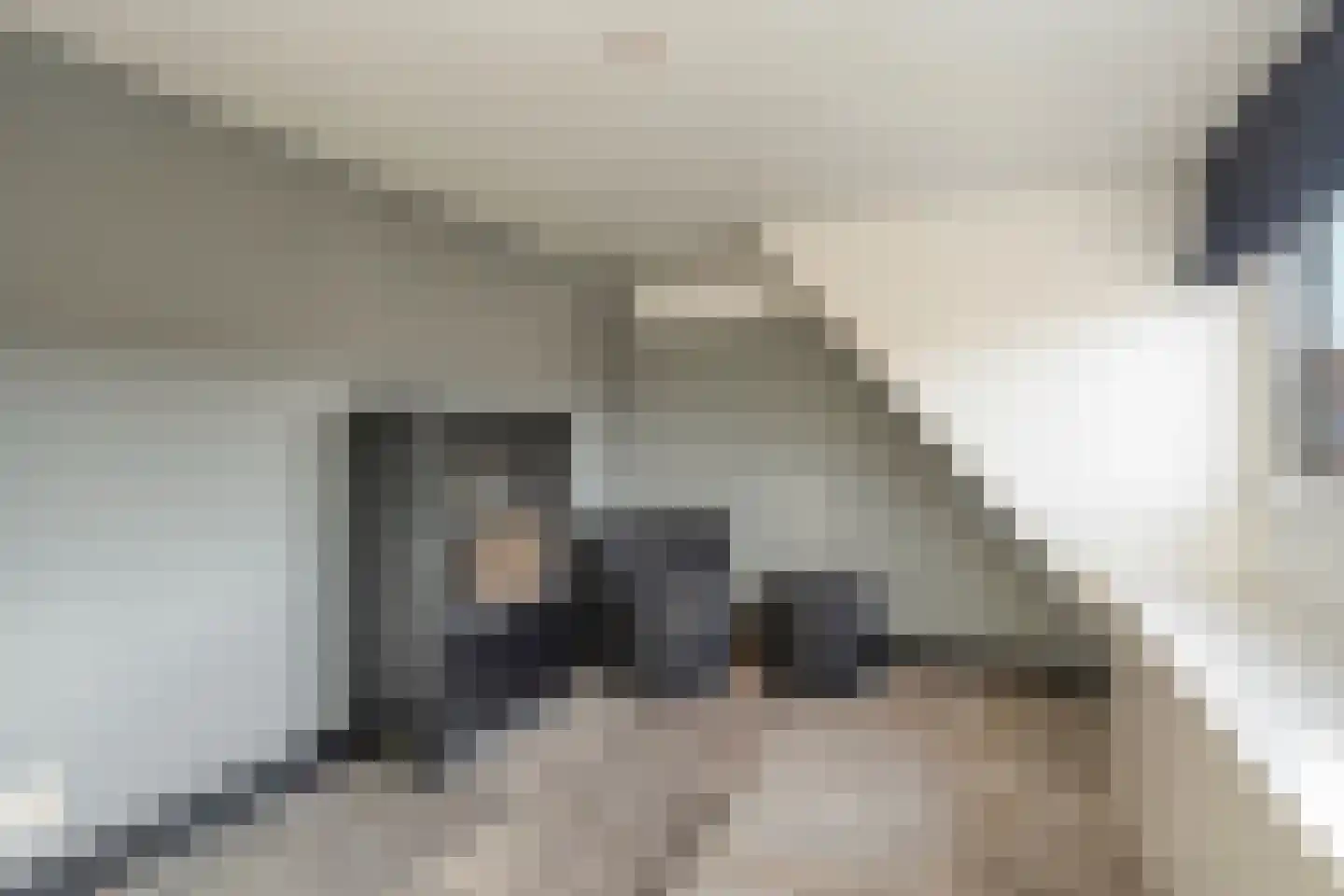 Meindert Hobbemastraat 4 Kesteren thumbnail 29