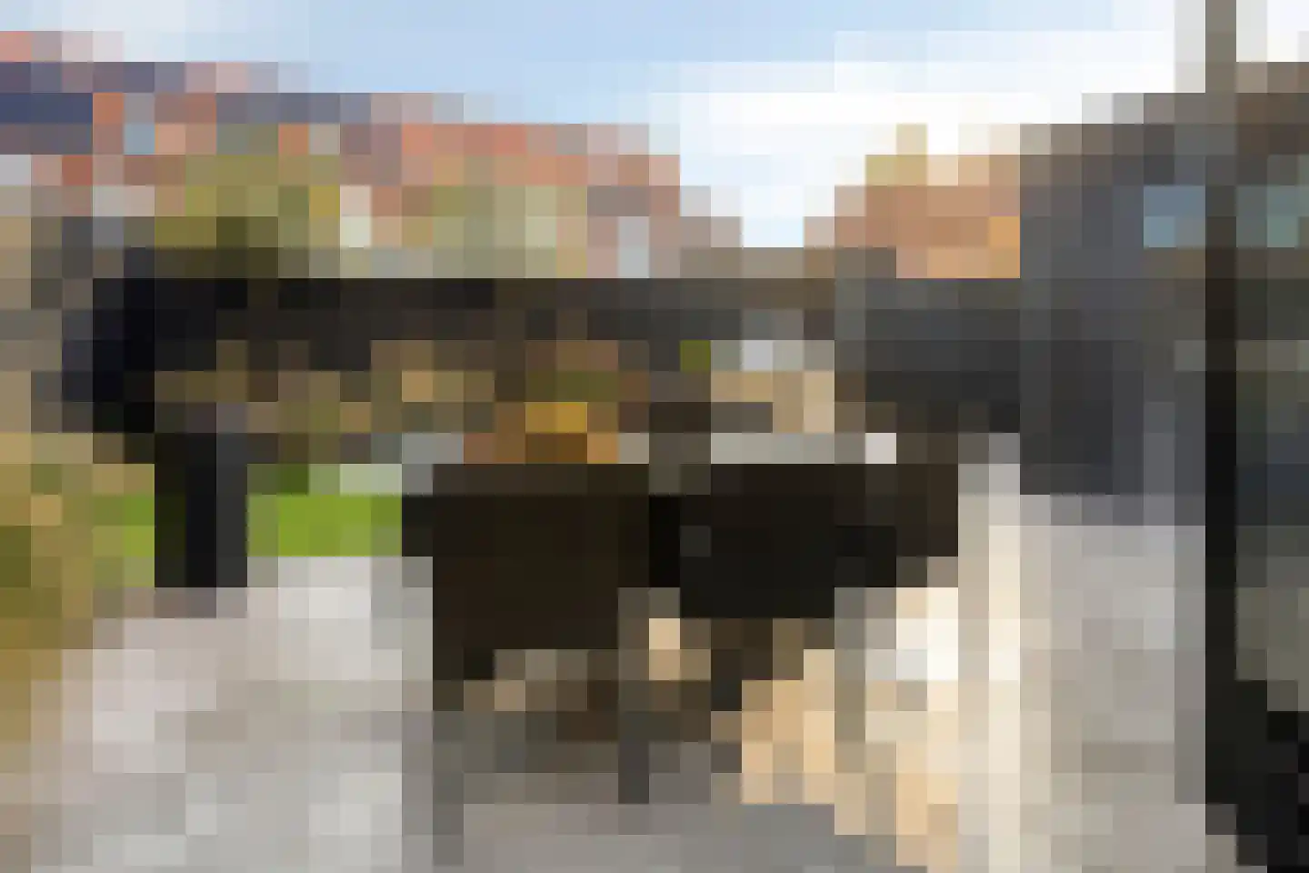 Meindert Hobbemastraat 4 Kesteren thumbnail 32