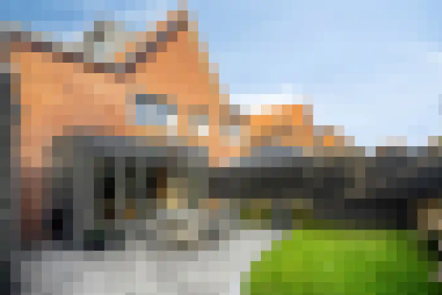 Meindert Hobbemastraat 4 Kesteren thumbnail 34