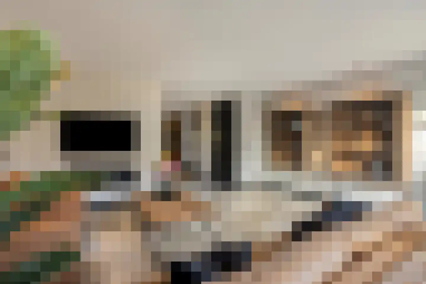 Meindert Hobbemastraat 4 Kesteren thumbnail 7
