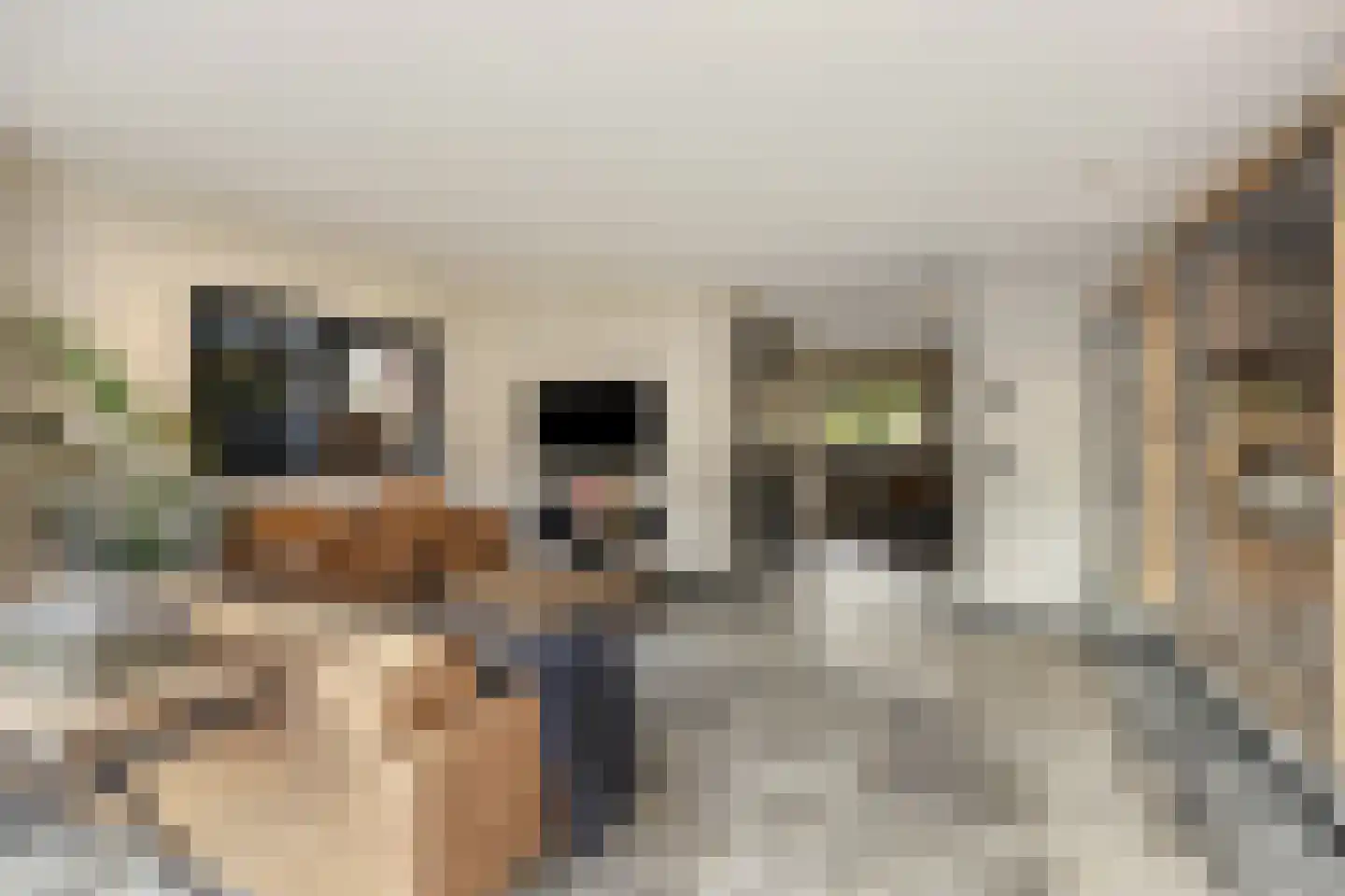 Meindert Hobbemastraat 4 Kesteren thumbnail 9