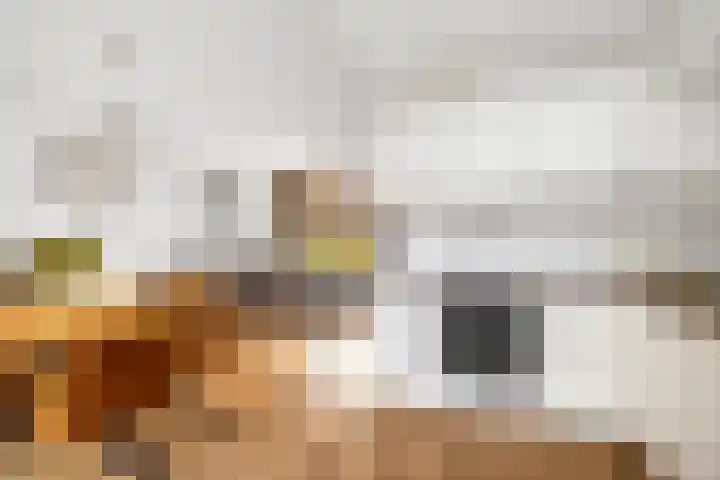 Meindert Hobbemastraat 6 Twello thumbnail 13